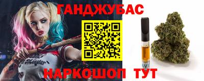 мдпв Славгород