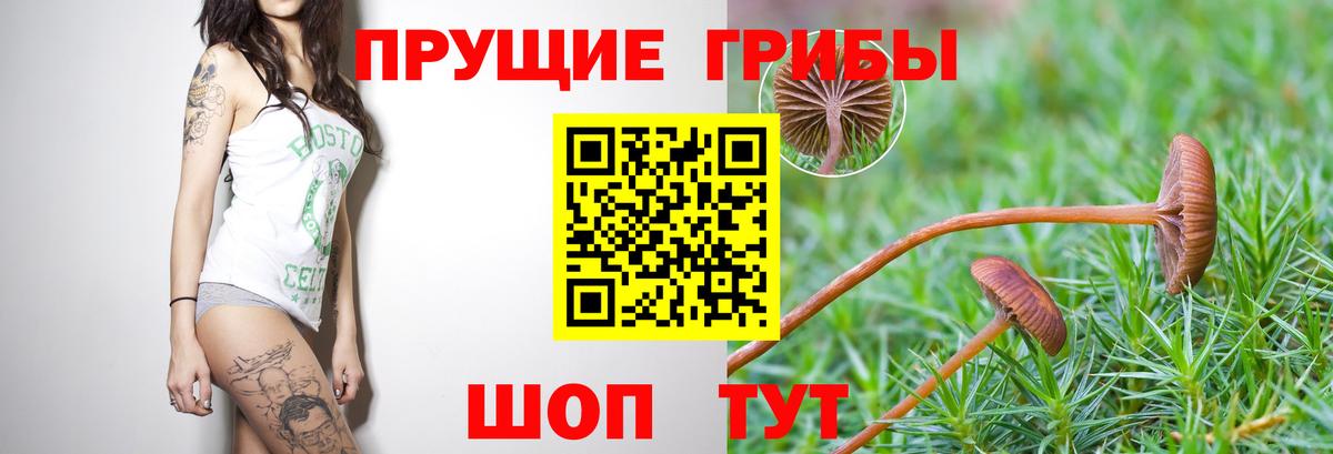 Галлюциногенные грибы ЛСД  Вход с VPN  Орск 